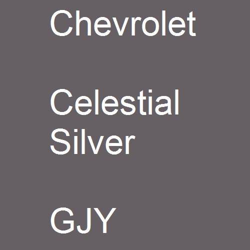 Chevrolet, Celestial Silver, GJY.